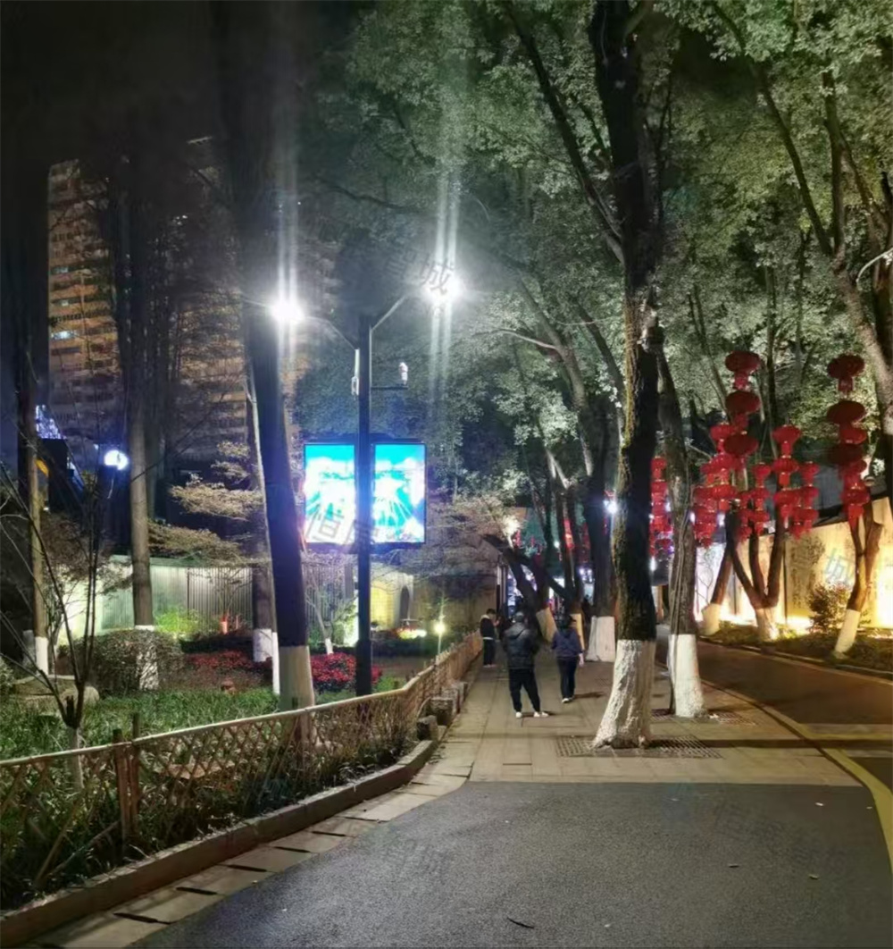 智能路燈廠家：智慧城市建設(shè)的核心驅(qū)動(dòng)力